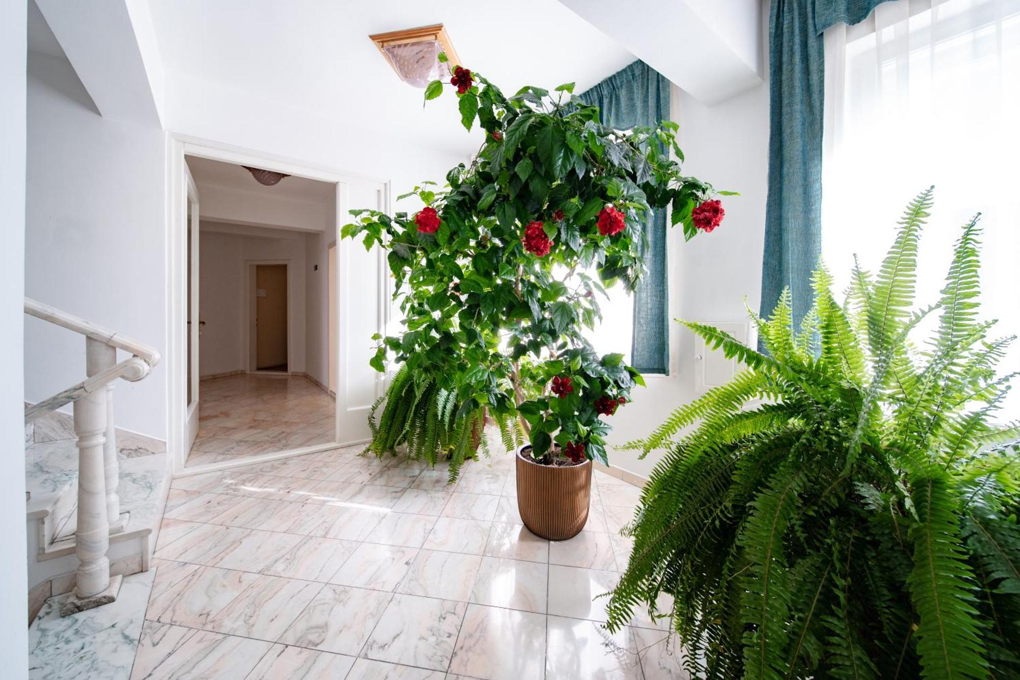 Lilla Panzio Hotel Odorheiu Secuiesc Luaran gambar