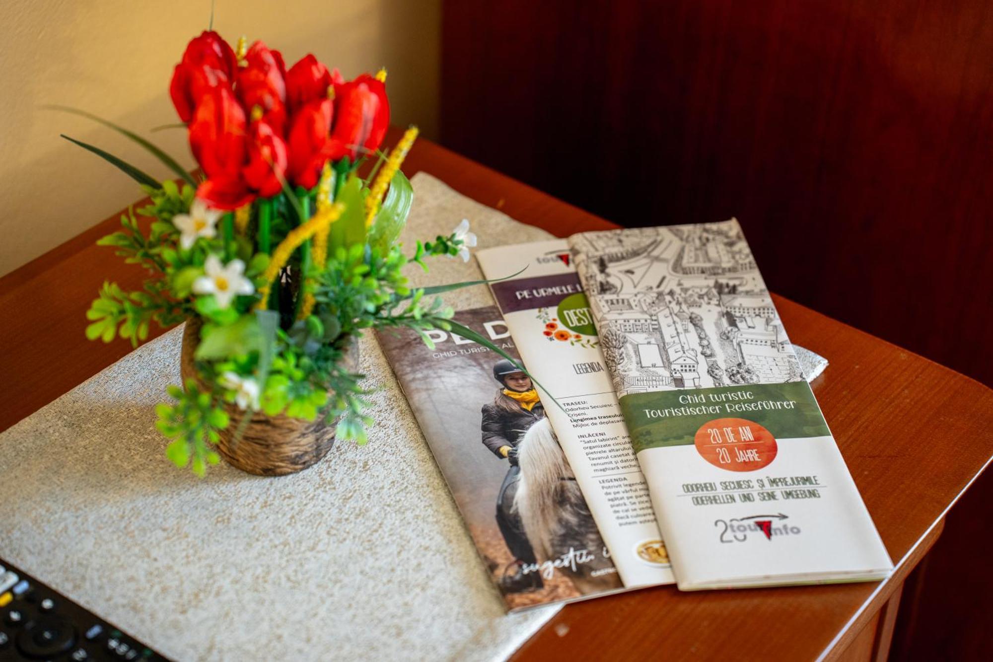 Lilla Panzio Hotel Odorheiu Secuiesc Luaran gambar